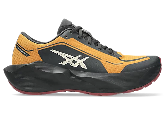 Asics NovaBlast 6 GTX - Men's