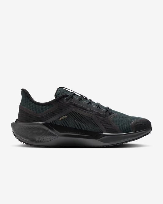 Nike Pegasus 41 GTX - Men's