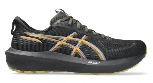 Asics GT-1000 14 GTX - Men's