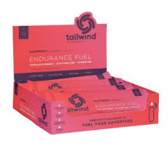 Tailwind Endurance Fuel Singles